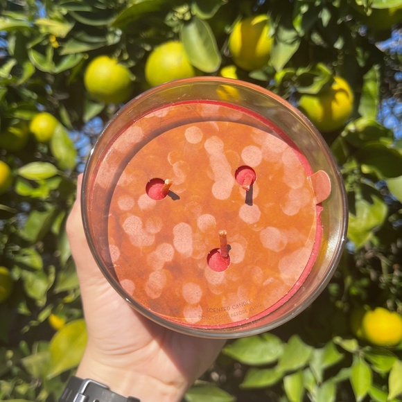 Holiday Wish Good Cheer Golden Apples and Spice Bath and Body Works Candle - Picture 3 of 7